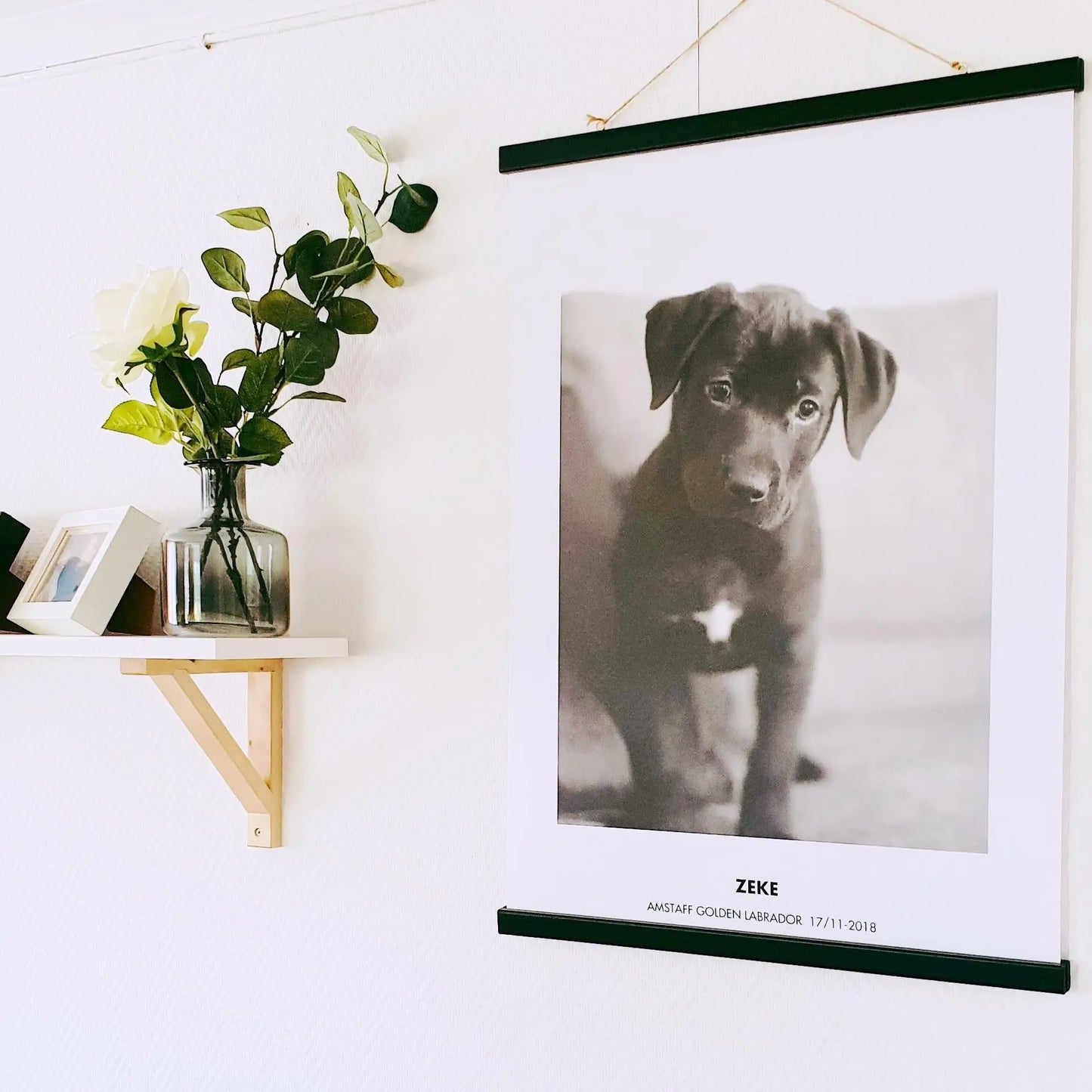 Husdjursporträtt Fotokonst